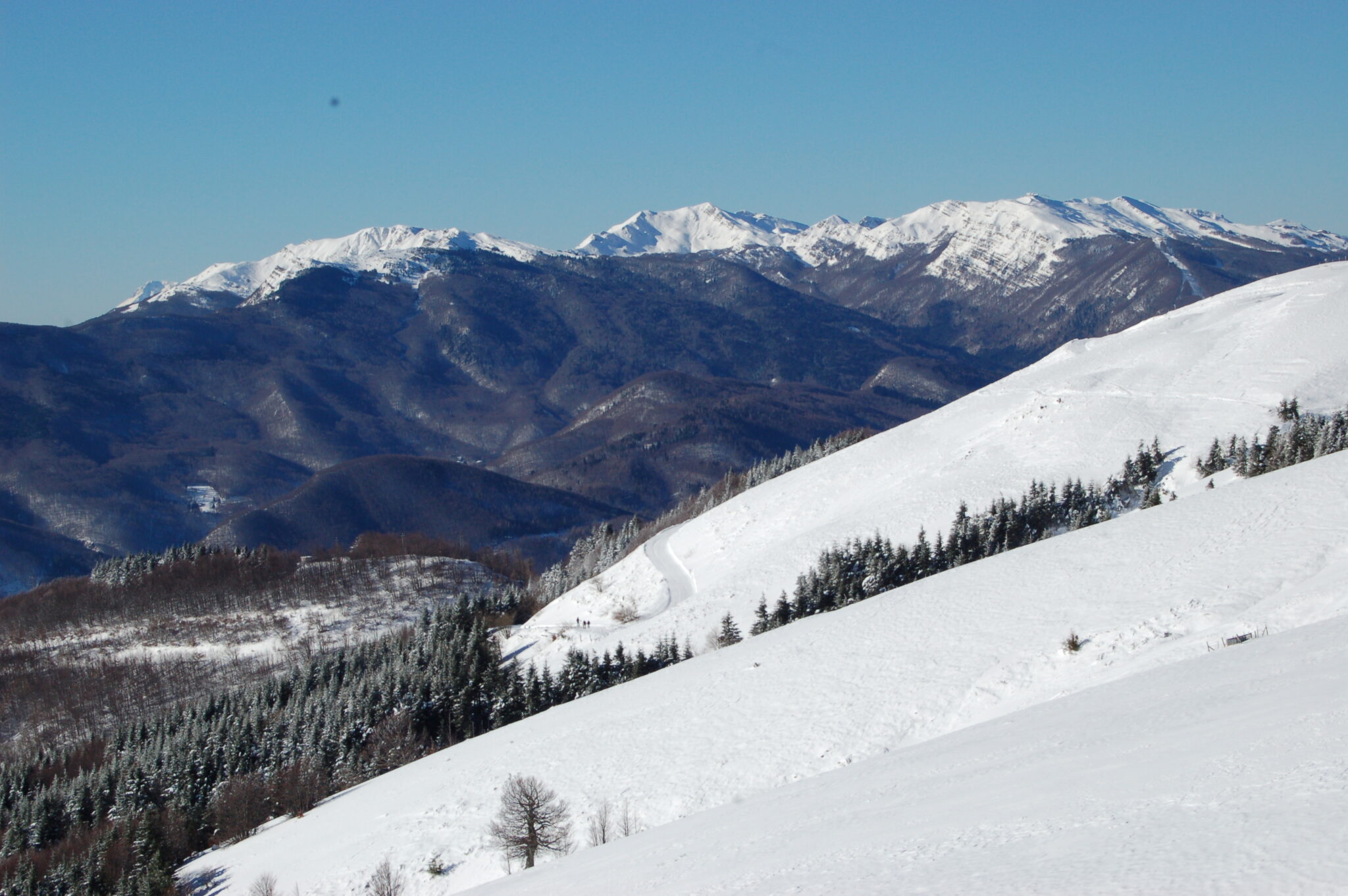 neve e ciaspolate