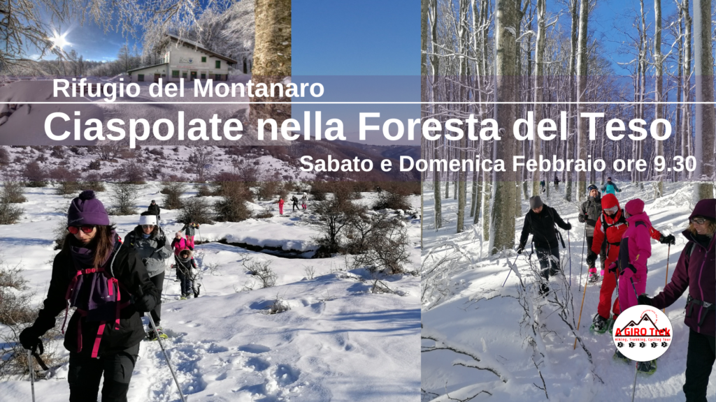 Ciaspolata nella Foresta del Teso appennino pistoiese 