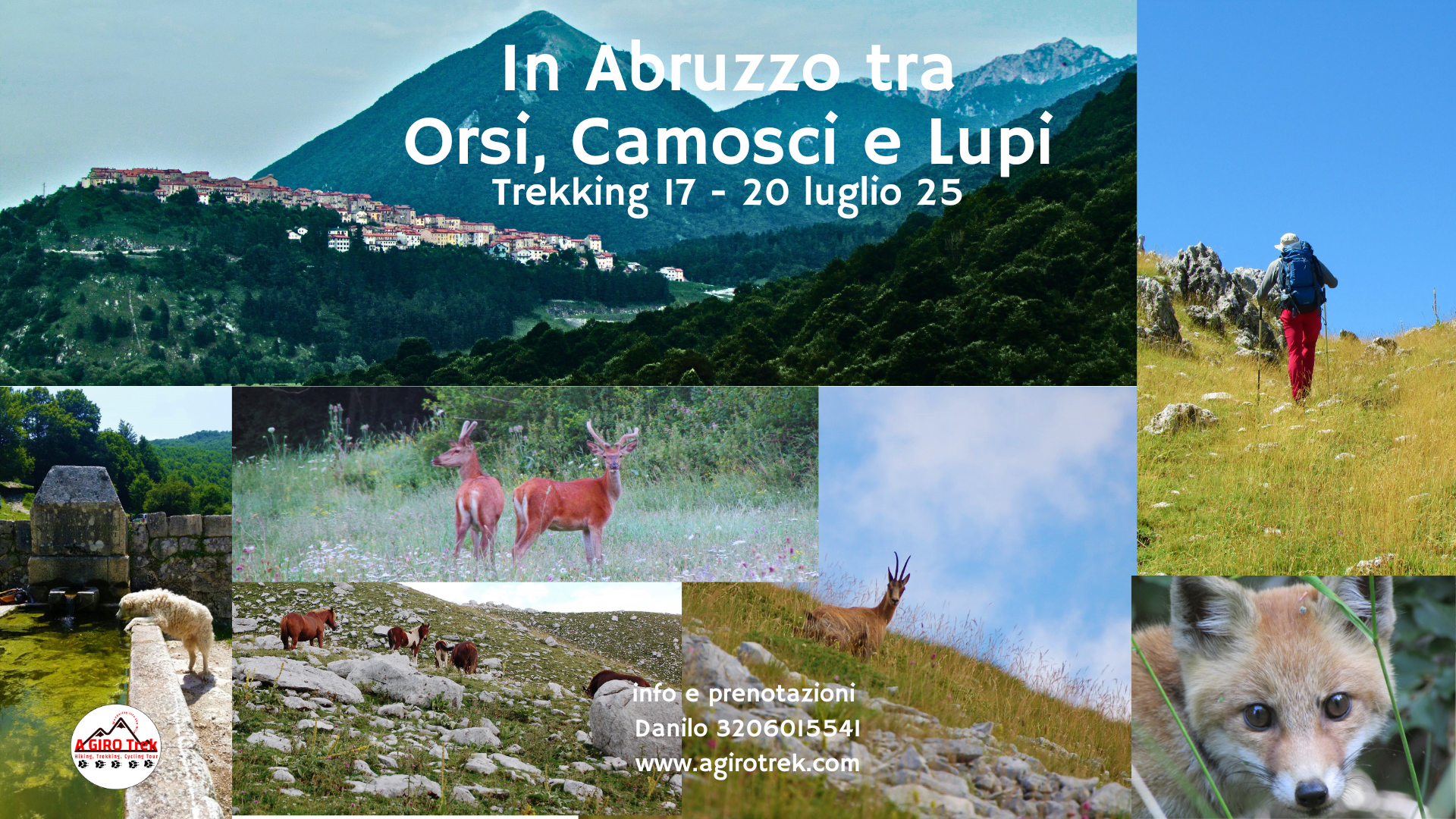 In Abruzzo tra Orsi, Camosci e Lupi