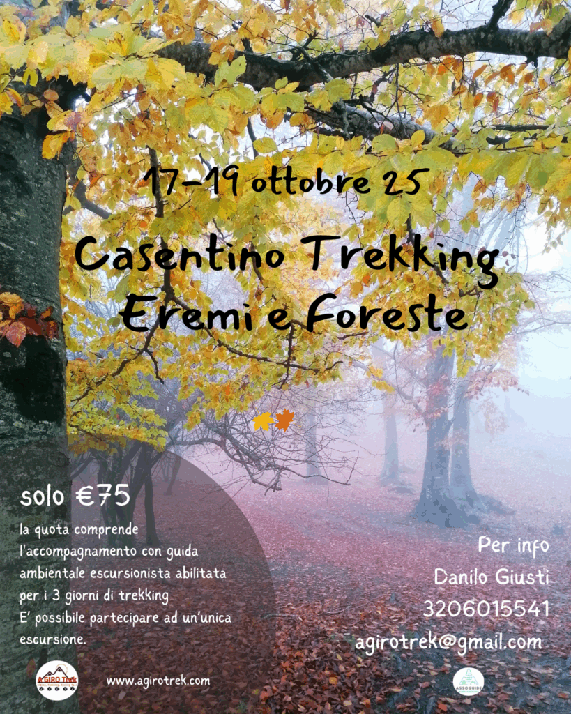 foreste casentinesi parco