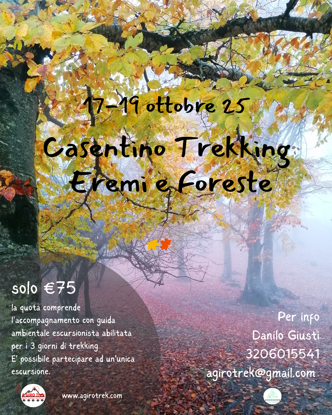foreste casentinesi parco