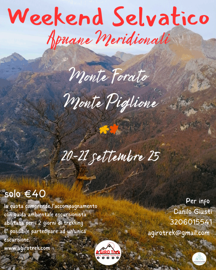 apuane meridionali