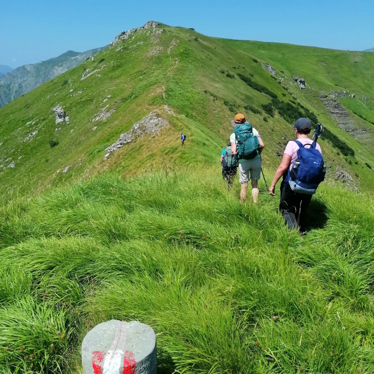 toscana trekking tours bike (5)